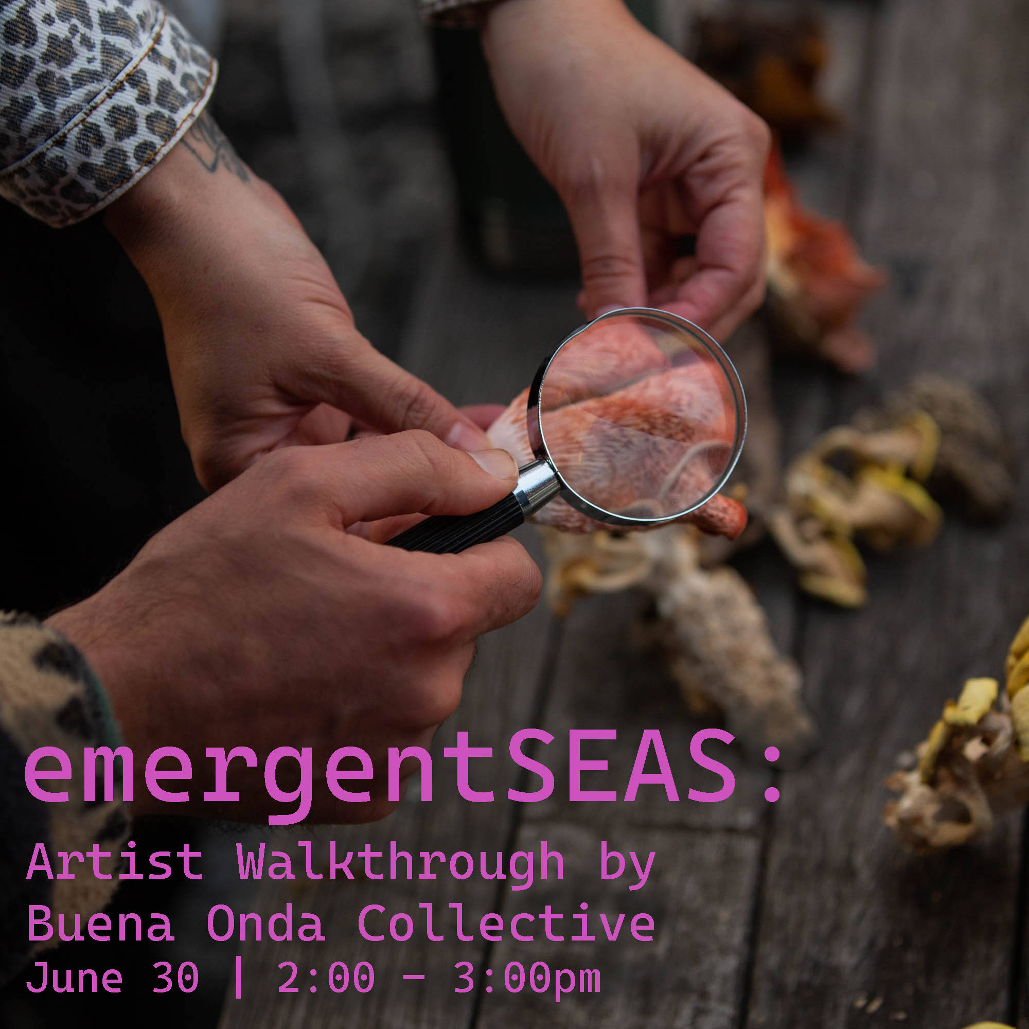 emergentSEAS Artist Walkthrough